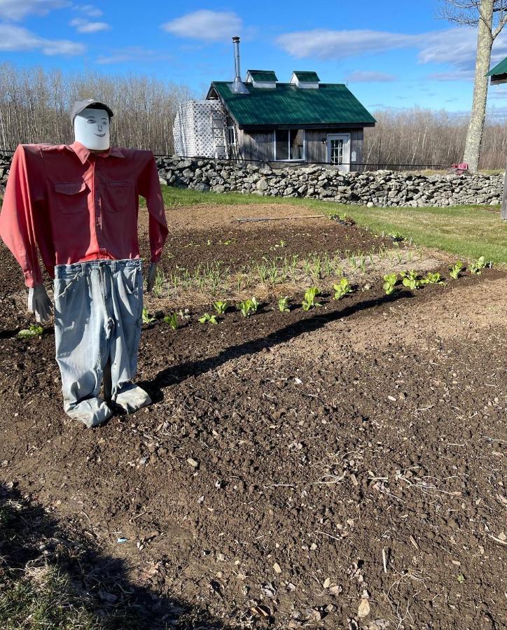 Blueberry Fields Bed & Breakfast Jefferson Екстериор снимка